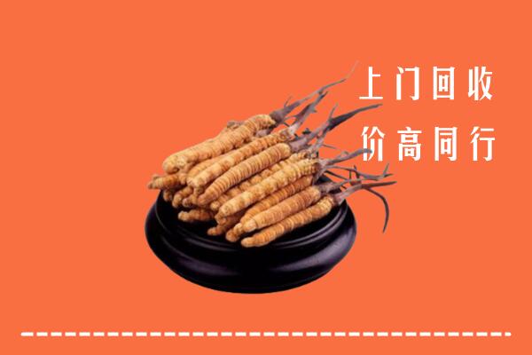 高价求购：阿坝州九寨沟县回收散虫草