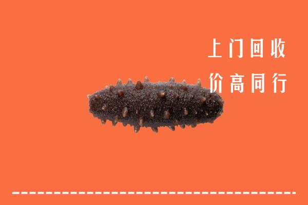 高价求购：阿坝州九寨沟县回收海参