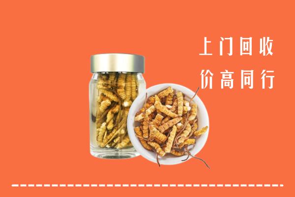 阿坝州九寨沟县回收冬虫夏草